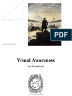 Visual Awareness