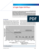 Exploitation of Light Tight Oil Plays Paper