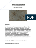 Posgrado en Ciencias Bioquímicas.docx