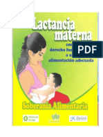 Documento+Lactancia+Materna