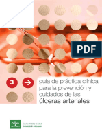 Guia_de_cuidados de ulceras arteriales.pdf