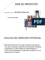 El Mercado Potencial.pdf