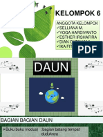 (Daun) Kelompok 6