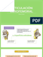Articulación Coxofemoral.pptx