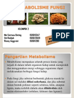 Metabolisme Fungi