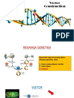 Vector Biomolekul Revisi