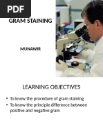 Gram Staining Staining Gram Positive Bacteria