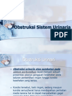 Obstruksi Sistem Urinaria