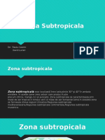 Clima Subtropicala