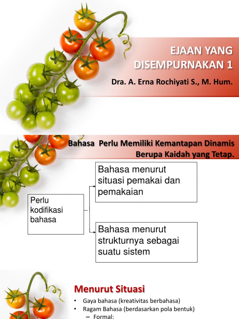 3 Eyd 1