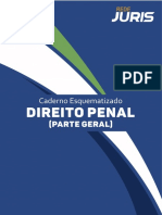 Rede Juris - Caderno Esquematizado de Direito Penal (Parte Geral) - Excerto de Princípios e Lei Penal