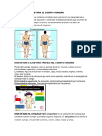 Investigar e Ilustrar El Cuerpo Humano