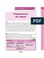 Purgadores PDF