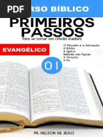 Curso Biblico 1_ Primeiros Pass - Pr. Nelson de Jesus