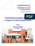 transformacion termoquimica de biomasa y su impacto en la matriz energetica nacional alex berg.pdf