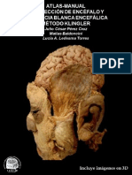 Atlas Disección de Encéfalo PDF