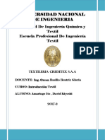 339979417-Informe-Creditex-Io-2-1.docx