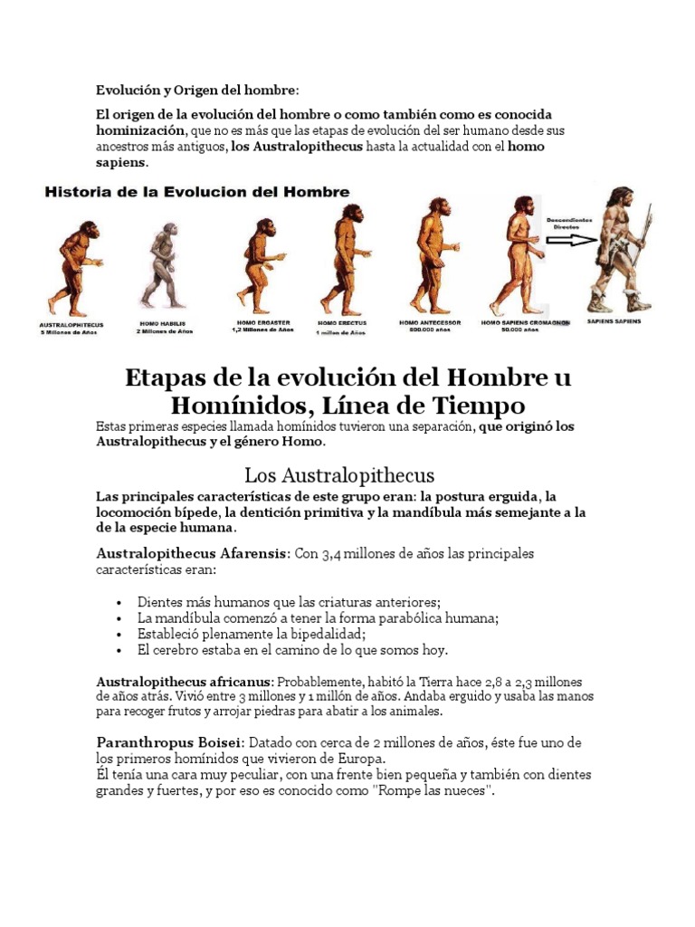 Evolución Del Hombre | PDF | Homo | Evolución humana