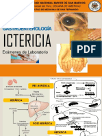 Ictericia - Exámenes de Laboratorio