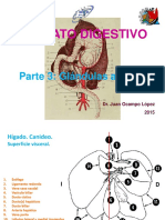 Aparato Digestivo III 2015