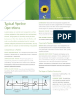 Typical Pipeline Ops PDF