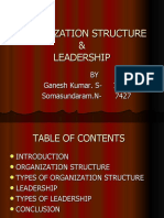 Organization Structure 1