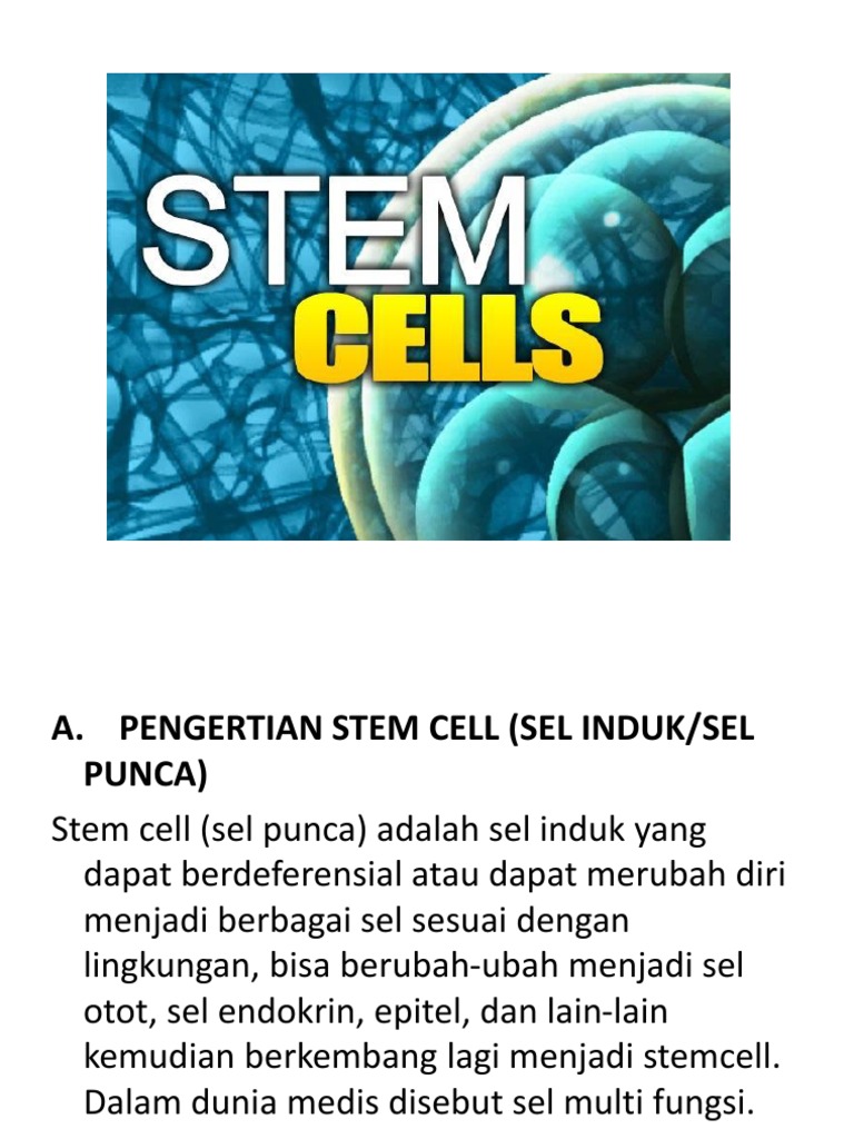 Steem Cells Pdf