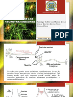 neurotrasmisores-4.pptx