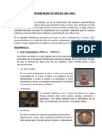 Informe Museo de Arte de Lima