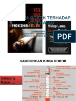 Presentasi Bahaya Rokok