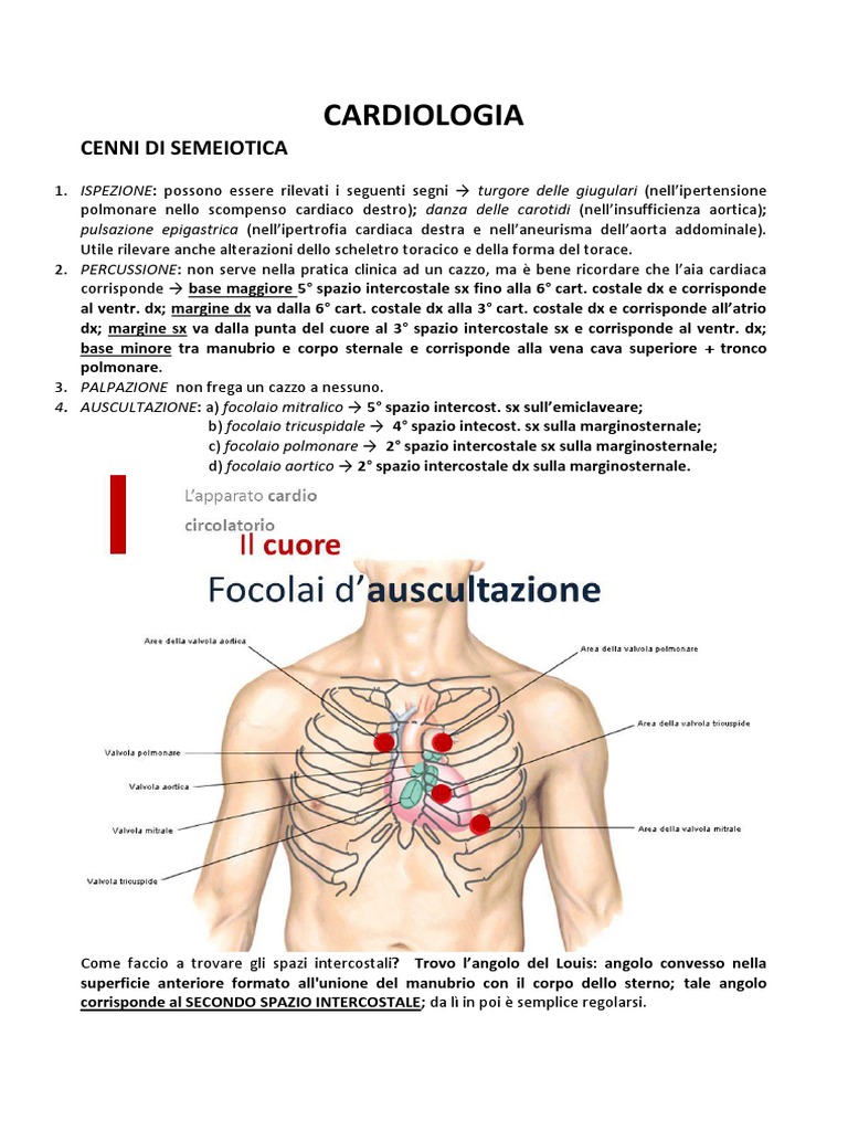 CCSVI INSUFFICIENZA VENOSA CRONICA CEREBRO-SPINALE | PDF, image size:768x1024