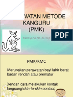 PMK Marliyana PDF