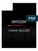 rps138_slide_makrosomia.pdf