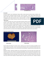 Pathology_of_Male_Sex_Organ_5.pdf