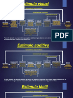 317415838-Esquema-welford-pdf.pdf