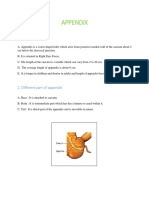 Project Appendix PDF