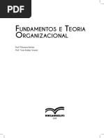 Fundamentos e Teoria Organizac
