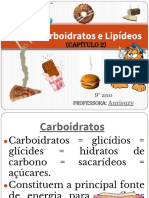 Cap. 02 Carboidratos e Lipídeos.pptx