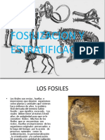 FOSILES