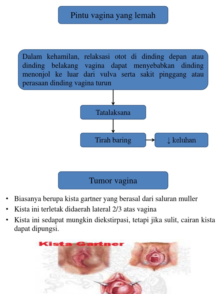 Videolarda lezbiyenlarning kammingini korsatish
