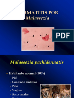 Dermatitis por Malassezia1.pdf