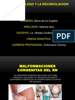 MALFORMACIONES CONGENITAS DEL RN.pptx