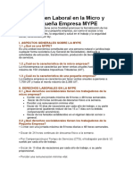 Régimen Laboral en La Micro y Pequeña Empresa MYPE