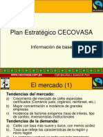 Plan Estrategico Cecovasa