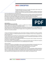 Color Primeros Conceptos PDF