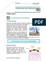 3lasrelacionesenelecosistema-140427134535-phpapp02.pdf