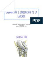 Invervacion e Irrigacionsubir PDF