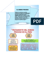 Principios Generales Del Derecho Procesal en General