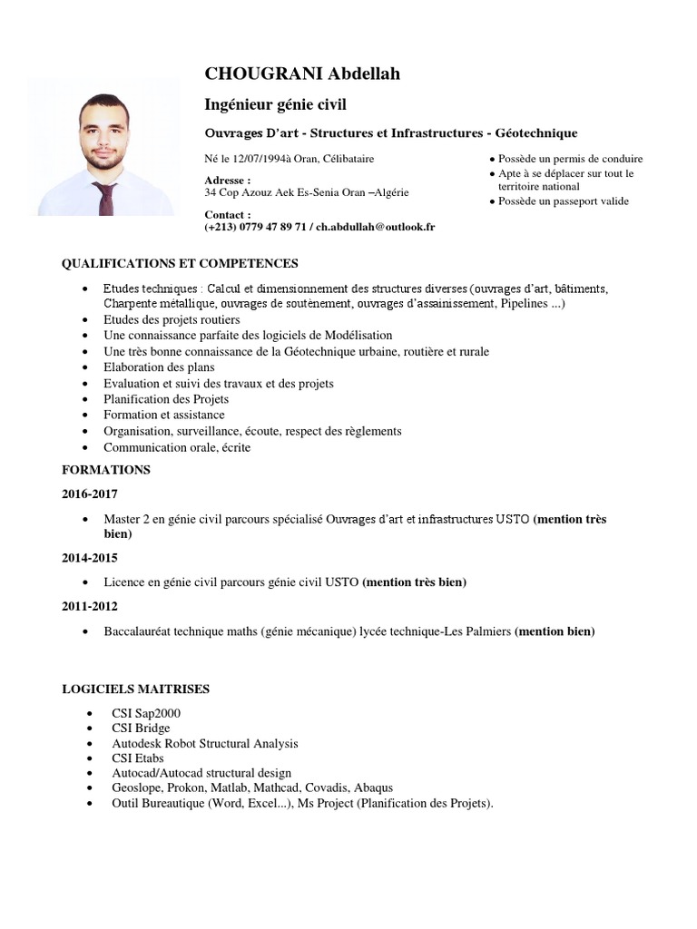 Mon Cv Pdf Pont Ingenierie