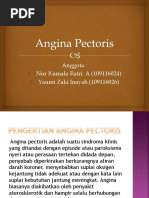 Angina Pectoris PPT Bu Tyo